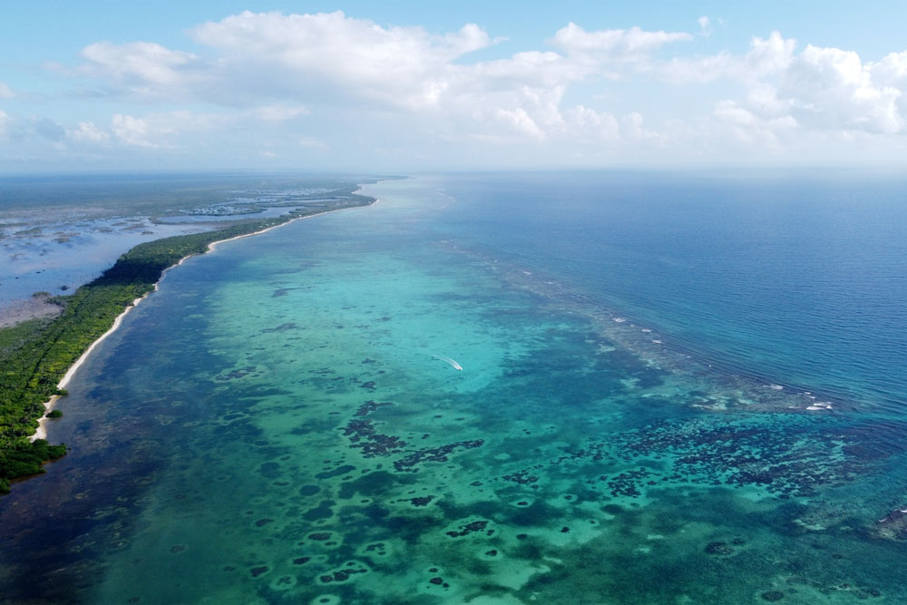 barrera de coral mesoamericana en México