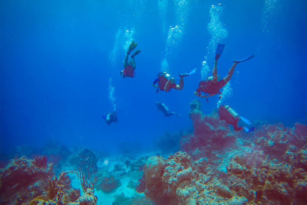 Divers at Banco Chinchorro in Mexico