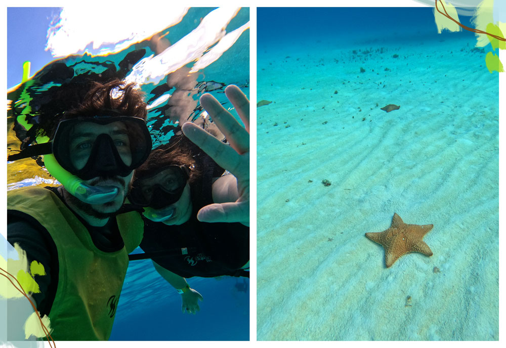 tour del Cielito en Cozumel