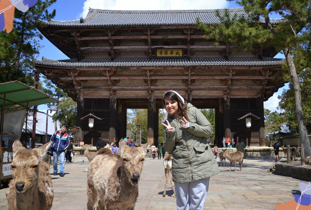 precios tours en Japón
