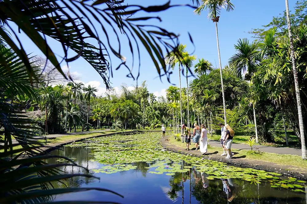 Jardín Botánico de Pamplemousses Isla Mauricio