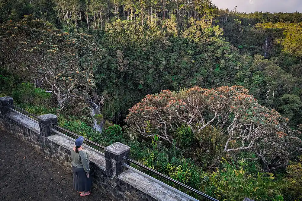 que ver en Isla Mauricio Alexandra Falls