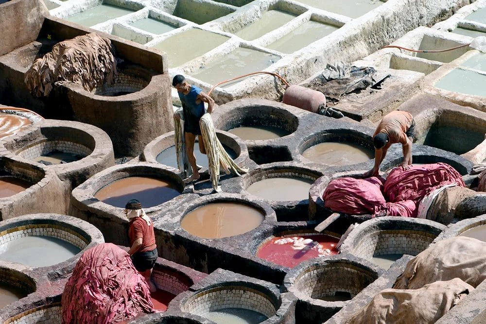 que ver en Fez Marruecos curtiduría Chouwara